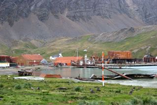 Grytviken